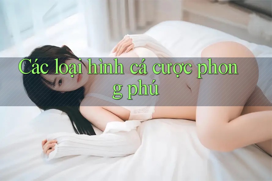 Các loại hình cá cược phong phú Các loại hình cá cược phong phú