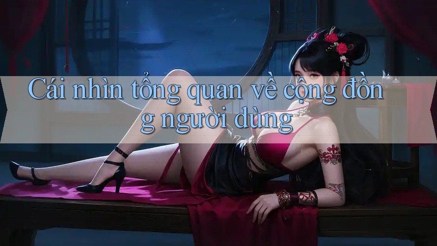 Cái nhìn tổng quan về cộng đồng người dùng Cái nhìn tổng quan về cộng đồng người dùng