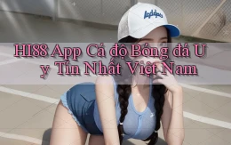 hi88 app cá độ bóng đá uy tín nhất việt nam
