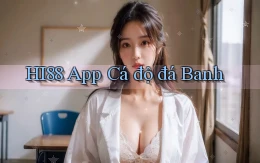 hi88 app cá độ đá banh