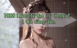 hi88  liên hệ đại lý cược đá gà đáng tin