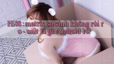 Hi88 matrix so sánh không rủi ro   unit là gì Android 14