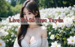 Live Xổ số trực tuyến
