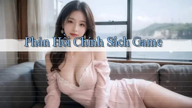 Phản hồi Chính sách game