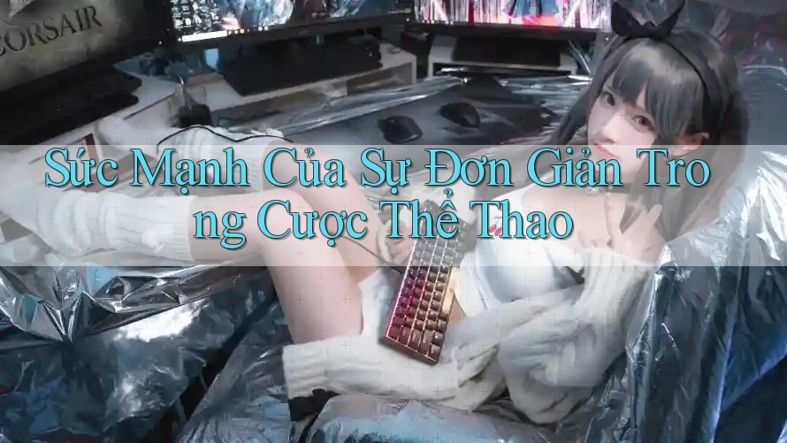 Sức Mạnh Của Sự Đơn Giản Trong Cược Thể Thao Sức Mạnh Của Sự Đơn Giản Trong Cược Thể Thao