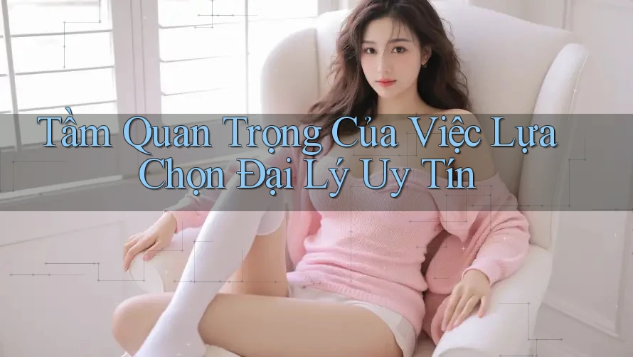 Tầm Quan Trọng Của Việc Lựa Chọn Đại Lý Uy Tín